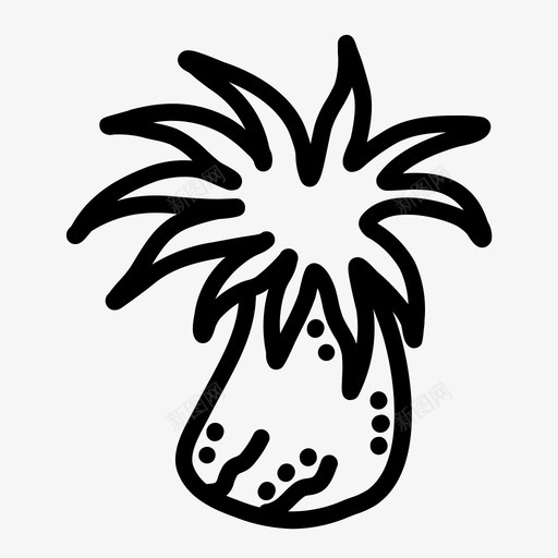 海葵珊瑚珊瑚礁海洋生物svg_新图网 https://ixintu.com 水下 海洋生物 海葵 海葵图片 猕猴桃 珊瑚 珊瑚礁 生态系统 藻类 野生动物