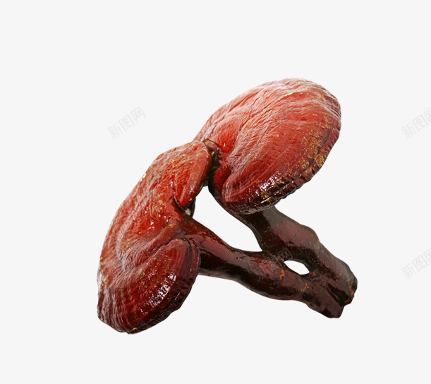 灵芝水果 蔬菜 肉 食材 png免抠素材_新图网 https://ixintu.com 灵芝 水果 蔬菜 肉食