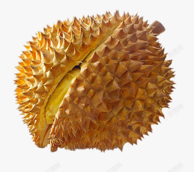榴莲食物png免抠素材_新图网 https://ixintu.com 榴莲 食物