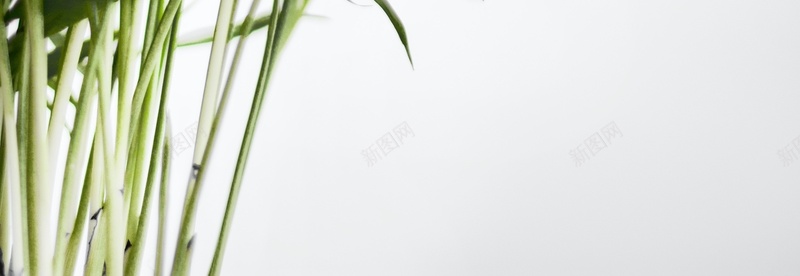 大自然绿色背景jpg设计背景_新图网 https://ixintu.com 自然 绿色 叶子 背景