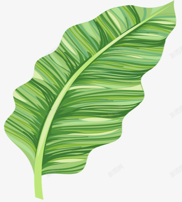 矢量树叶芭蕉叶png免抠素材_新图网 https://ixintu.com 矢量 免扣 树叶 芭蕉叶