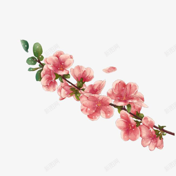 漂浮的一串桃花png免抠素材_新图网 https://ixintu.com 桃花 桃树 树枝 花