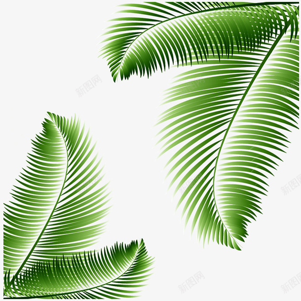 树叶植物绿植叶子png免抠素材_新图网 https://ixintu.com 树叶 植物 绿植 叶子