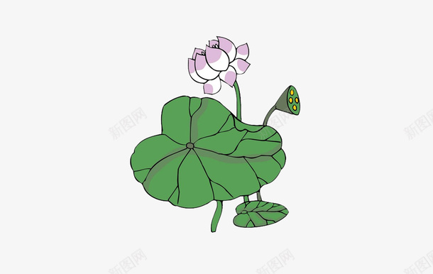 绘画荷花荷叶png免抠素材_新图网 https://ixintu.com 夏季 画 荷花荷叶满池塘 荷叶 荷花