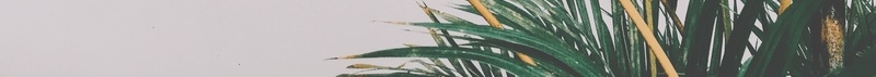 自然绿色叶子jpg设计背景_新图网 https://ixintu.com 自然 绿色 叶子 背景