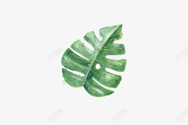 isn手绘叶子png免抠素材_新图网 https://ixintu.com 手绘 春天 运动 isn风
