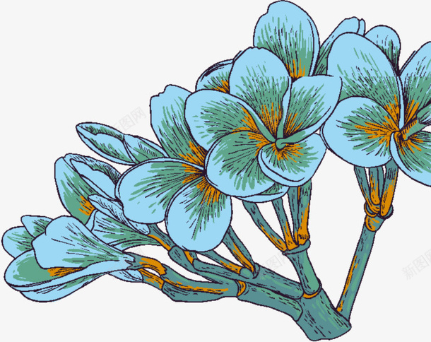 绿植蓝色调腊梅花手绘png免抠素材_新图网 https://ixintu.com 绿植 蓝色调 腊梅花 手绘