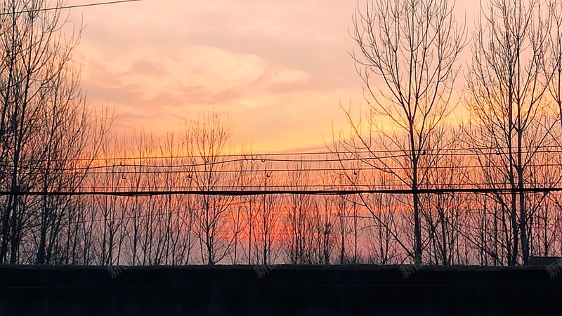 风景夕阳树林jpg设计背景_新图网 https://ixintu.com 树 夕阳 风景 背景