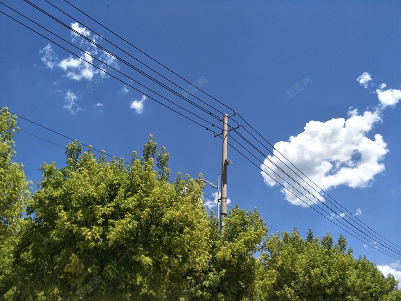 那年那天盛夏jpg设计背景_新图网 https://ixintu.com 云 树 夏日 回忆