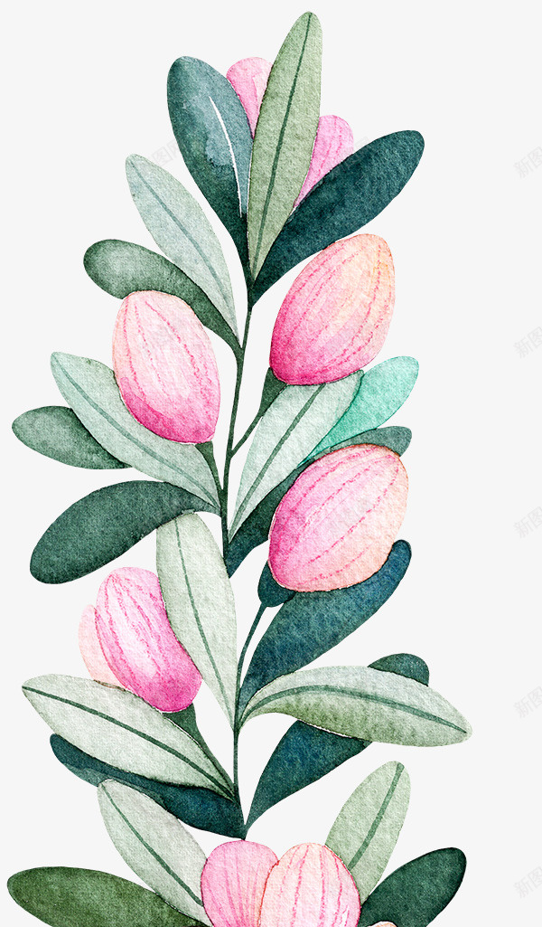 手绘植物树叶装饰元素png免抠素材_新图网 https://ixintu.com 手绘 树叶 树叶一串 植物 装饰元素