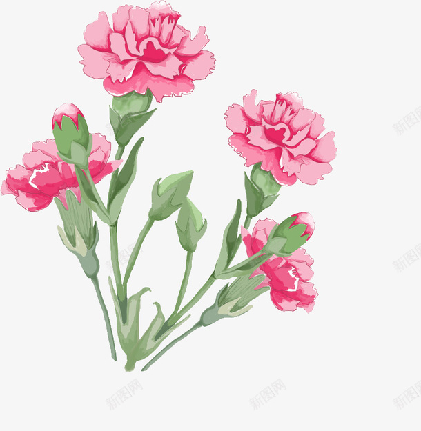 康乃馨母亲节png免抠素材_新图网 https://ixintu.com 鲜花 母亲节 感恩 爱