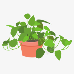 绿萝家居植物热带室内盆栽矢量元素素材