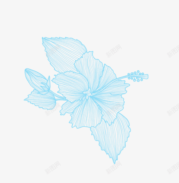 浅蓝色手绘清新花朵png免抠素材_新图网 https://ixintu.com 浅蓝色 手绘 花朵 清新