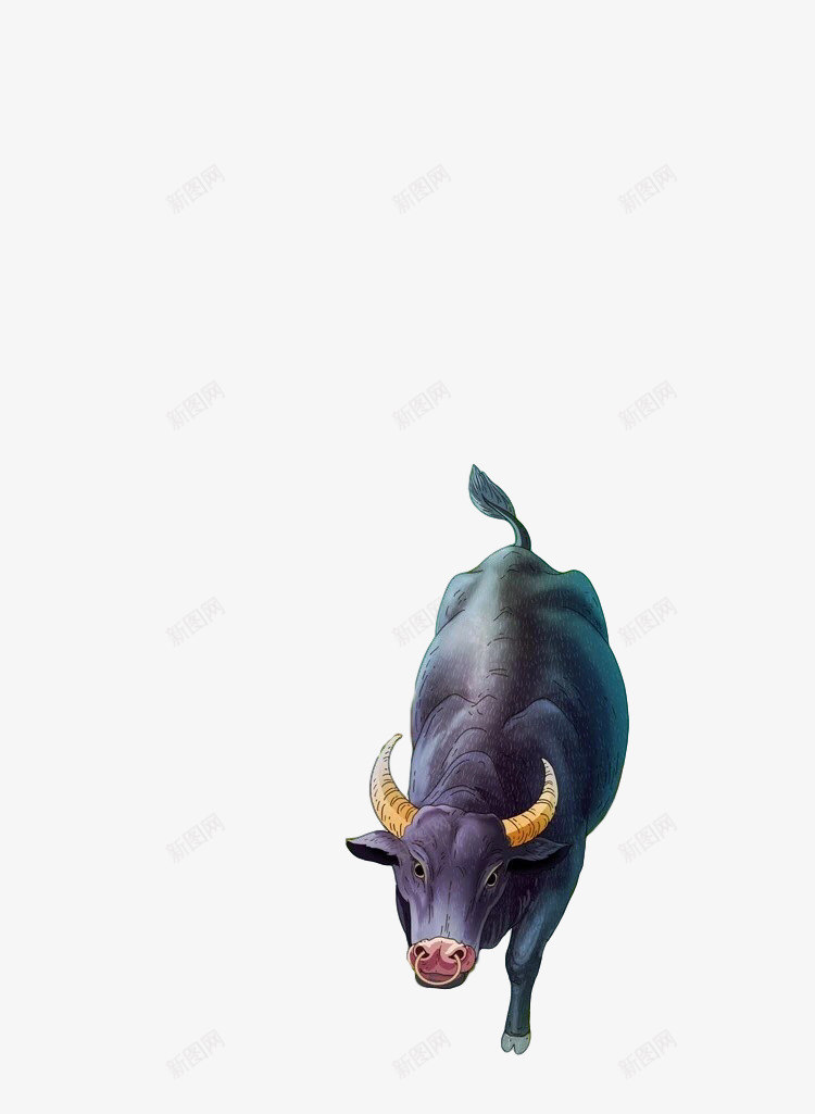 动物Cpng免抠素材_新图网 https://ixintu.com 动物