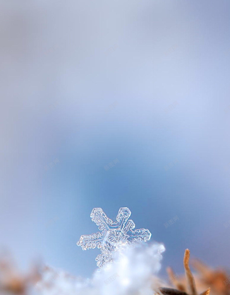 J节气 美图T2020915 jpg设计背景_新图网 https://ixintu.com 节气 美图