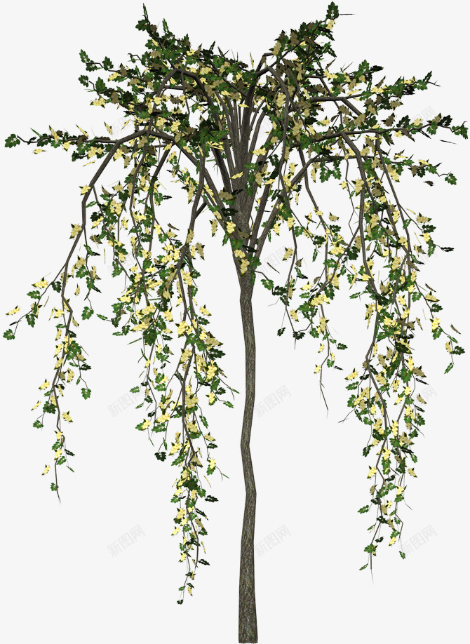 藤叶绿树草坪花丛树枝树桩png免抠素材_新图网 https://ixintu.com 藤叶 绿树 草坪 花丛 树枝 树桩
