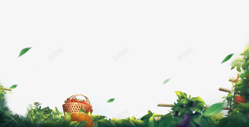 box 1920980花草植物png免抠素材_新图网 https://ixintu.com 花草 植物
