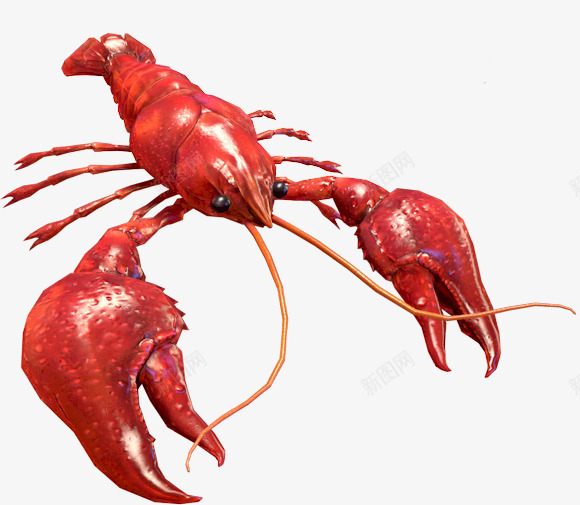 图层24食材png免抠素材_新图网 https://ixintu.com 图层 食材