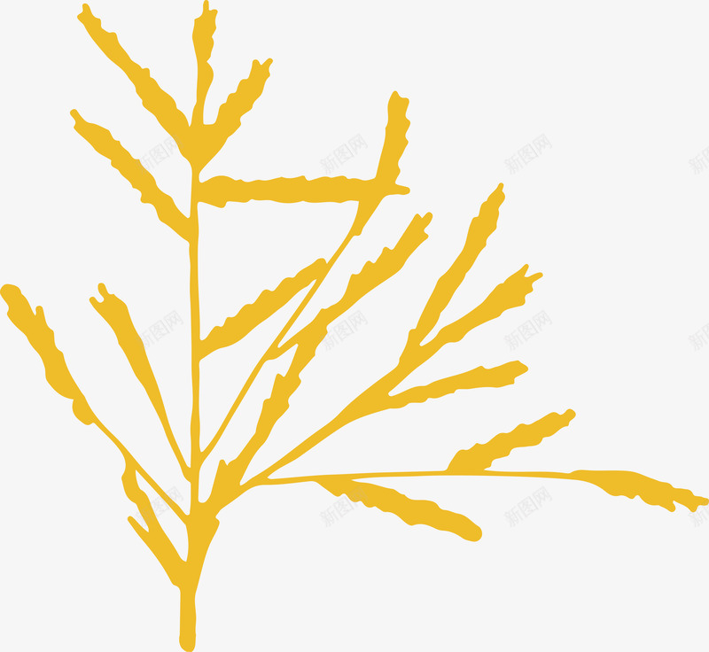 element2花草植物png免抠素材_新图网 https://ixintu.com 花草 植物