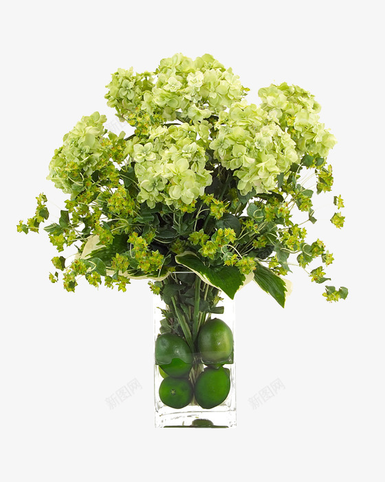 花草花瓶植物架png免抠素材_新图网 https://ixintu.com 花草 花瓶 植物架