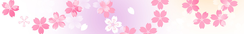 粉色浪漫樱花背景素材jpg设计背景_新图网 https://ixintu.com 唯美 婚庆 小清新 小花 情人节 日式 日系 梦幻 樱花 樱花ps 浪漫 碎花 粉色 背景 花朵 花瓣