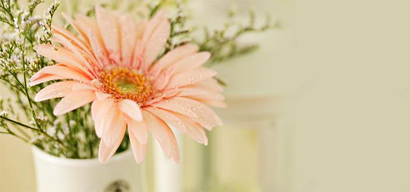 唯美花朵素材背景psd设计背景_新图网 https://ixintu.com 婚纱 模板 浪漫 黄色 花 清新 素材 唯美 相框 写真 个性 海报banner 梦幻