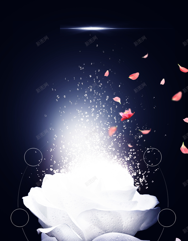 化妆品创意海报广告背景psd设计背景_新图网 https://ixintu.com 创意海报 化妆品海报 黑色 星光 花瓣 白色 花 简约 渐变
