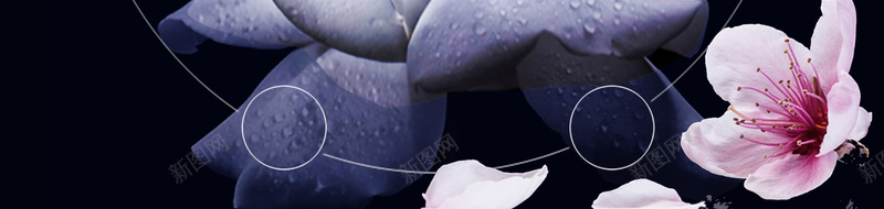 化妆品创意海报广告背景psd设计背景_新图网 https://ixintu.com 创意海报 化妆品海报 黑色 星光 花瓣 白色 花 简约 渐变