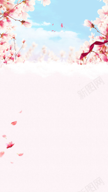 唯美粉色花瓣桃花护肤品H5背景背景