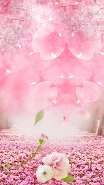 粉色浪漫樱花花瓣PSD分层H5背景素材背景