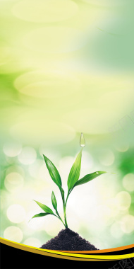 清新绿色植物海报背景背景