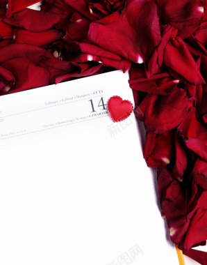 情人节玫瑰和卡片背景素材背景