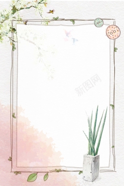 手绘白色花朵芦荟花纹边框背景背景