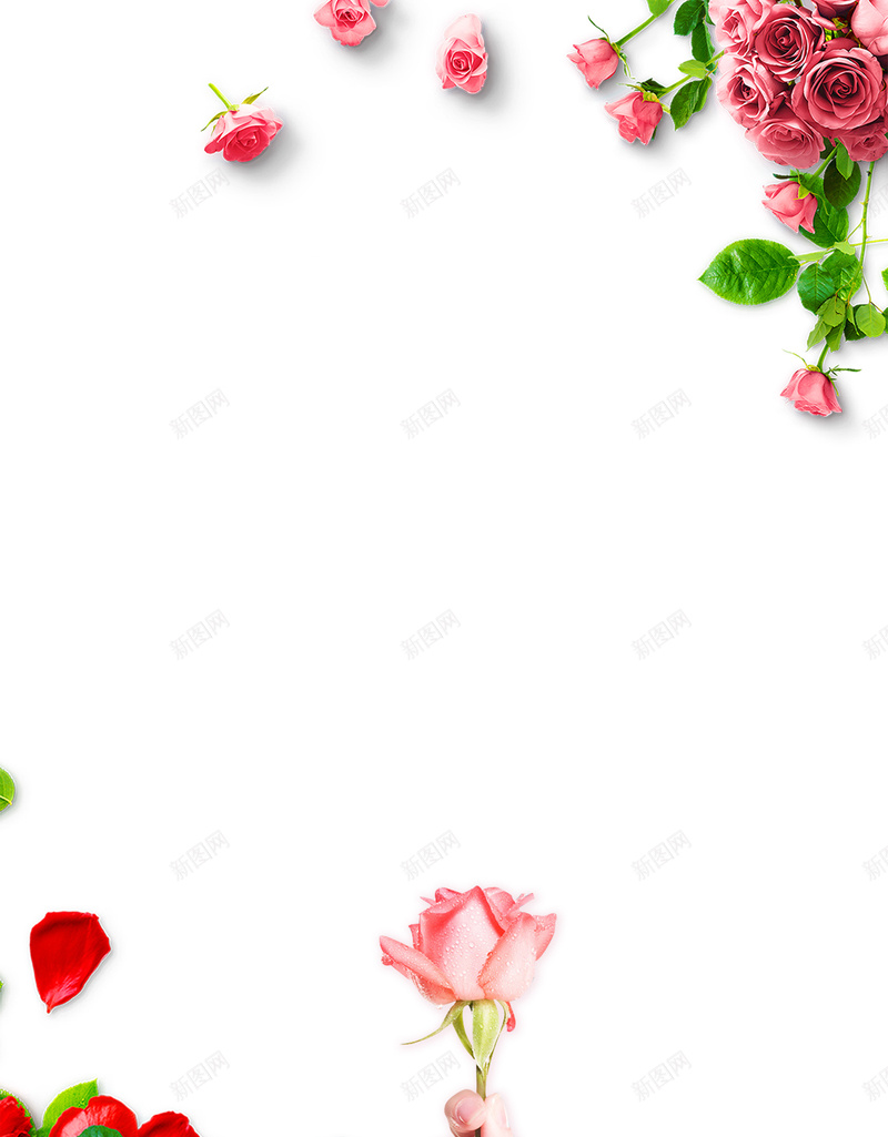 白色简约妇女节女神节海报psd设计背景_新图网 https://ixintu.com 38 女神节 妇女节 玫瑰 花瓣 简约 美丽女人节 三八妇女节 约惠妇女节 女生节 三七女生节 37