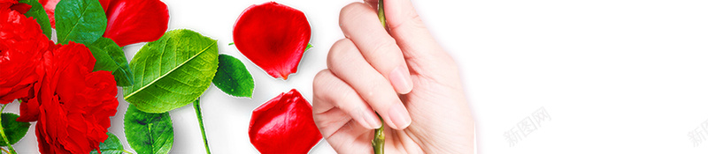 白色简约妇女节女神节海报psd设计背景_新图网 https://ixintu.com 38 女神节 妇女节 玫瑰 花瓣 简约 美丽女人节 三八妇女节 约惠妇女节 女生节 三七女生节 37