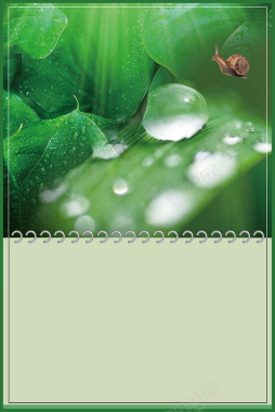 绿色简约二十四节气谷雨海报背景