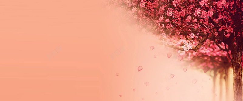 粉色樱花树背景jpg设计背景_新图网 https://ixintu.com 女装 摄影 樱花 樱花树 水彩 海报banner 淘宝 粉色 背景 花海 花瓣 风景