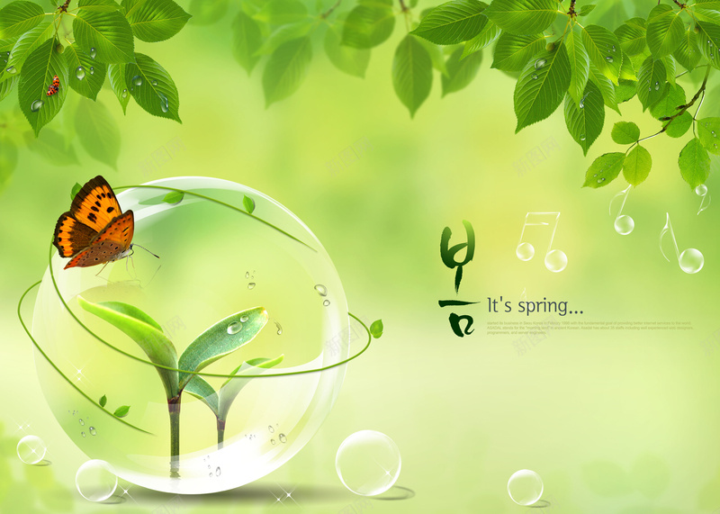 淡绿背景jpg设计背景_新图网 https://ixintu.com 植物叶子 嫩芽 泡泡 绿叶 蝴蝶 昆虫 气泡 时尚元素