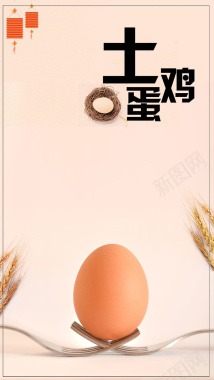 小清新唯美土鸡蛋土特产美食文艺边框背景