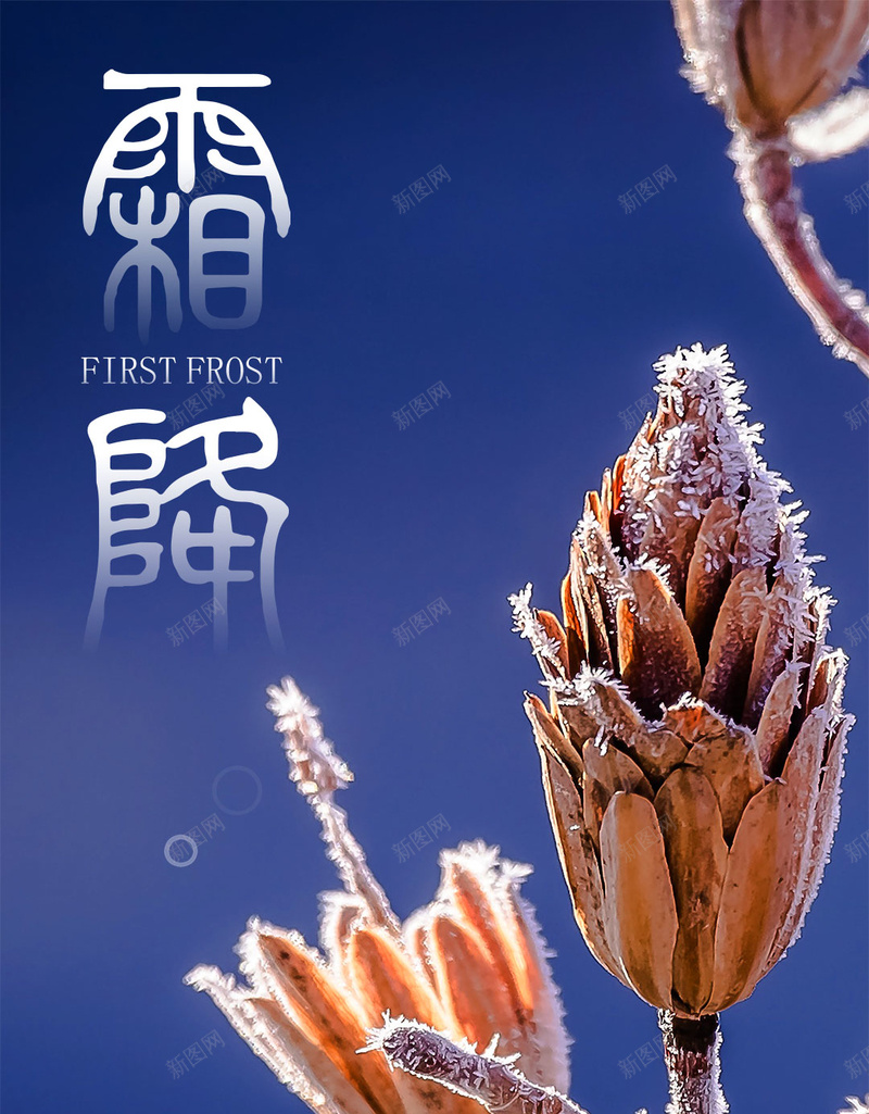简约时尚二十四节气霜降创意H5psd设计背景_新图网 https://ixintu.com 中国传统节气 二十四节气 24节气 霜降节气 下霜 对霜降 中国风海报 秋季下霜 寒霜 农历霜降 秋