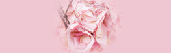 情人节字体简约粉色花朵海报背景高清图片