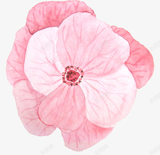 卡通花瓣免抠png装饰png免抠素材_新图网 https://ixintu.com 花朵 花瓣 水彩花瓣装饰 彩绘 手绘 涂鸦 插画 创意 艺术 美术 唯美 油画 水彩效果