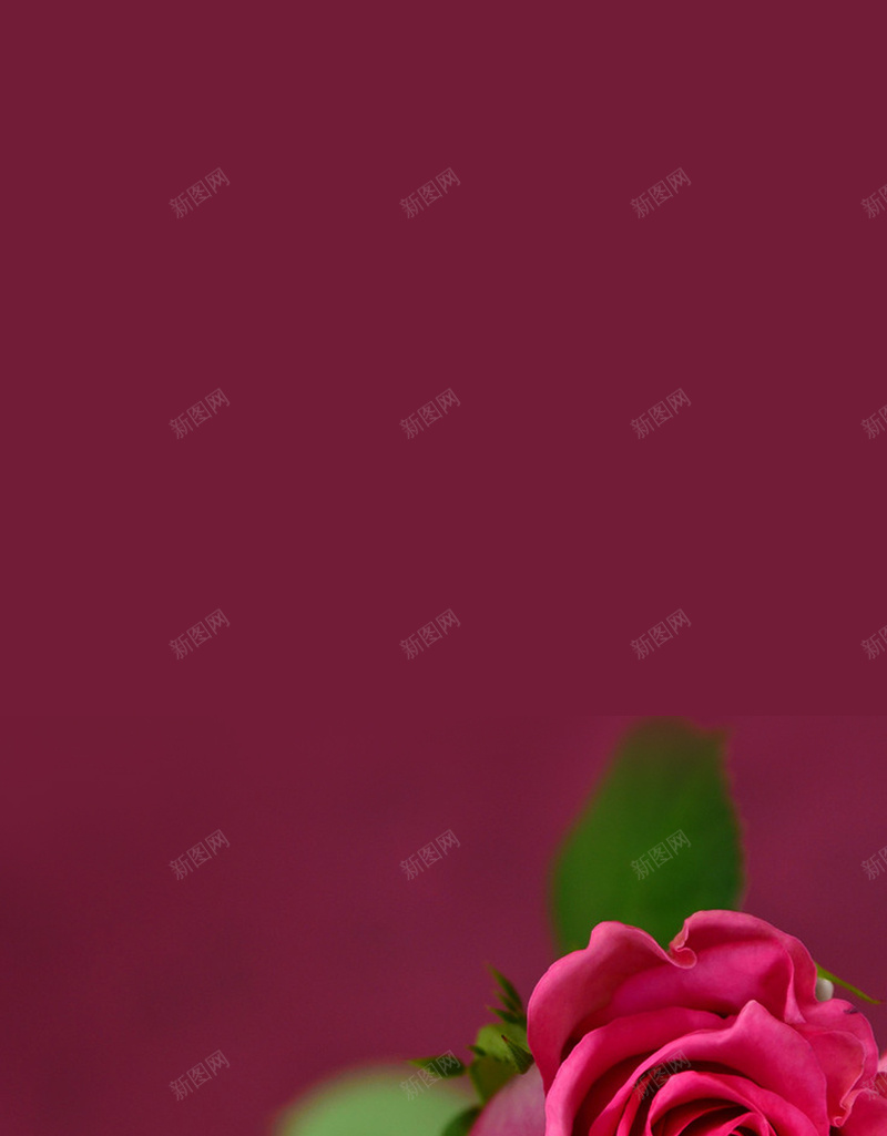 浪漫情人节玫瑰花H5背景jpg高清背景_新图网 https://ixintu.com 紫色背景 情人节 玫瑰花 梦幻 浪漫 H5 H5背景