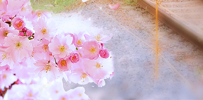 2017日本最美樱花节H5宣传海报背景psd设计背景_新图网 https://ixintu.com 2017 H5 psd 动车 旅游 日本 梦幻 樱花 樱花树 樱花节 水彩 粉色 花朵 花枝 花瓣 赏花