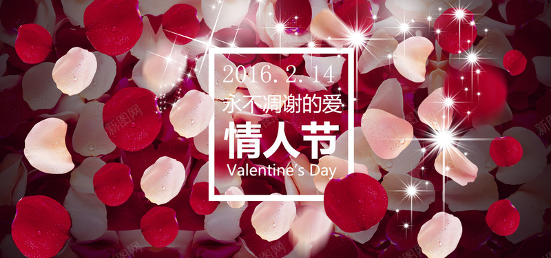 浪漫情人节背景psd设计背景_新图网 https://ixintu.com 花瓣 玫瑰花 情人节 星光 海报banner 浪漫 梦幻