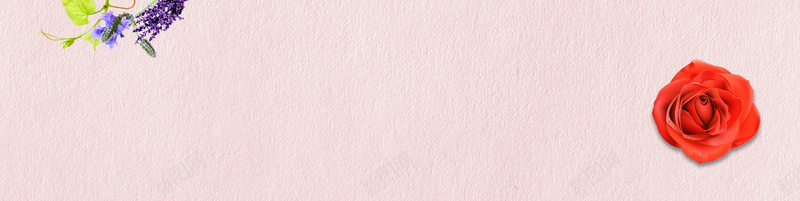 淘宝女装唯美花瓣背景bannerpsd设计背景_新图网 https://ixintu.com anner 唯美 女装 背景 花瓣 淘宝 banner 玫瑰花 薰衣草 树叶 海报banner 文艺 小清新 简约