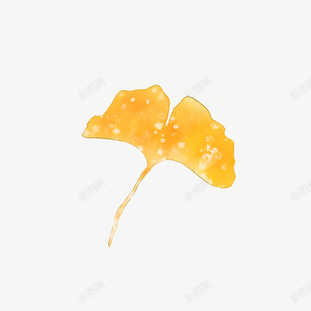 手绘水彩撒盐银杏花植物元素psd免抠素材_新图网 https://ixintu.com 手绘水彩 撒盐水彩 银杏花 植物 花卉