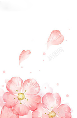 水彩粉色花瓣飞舞背景背景