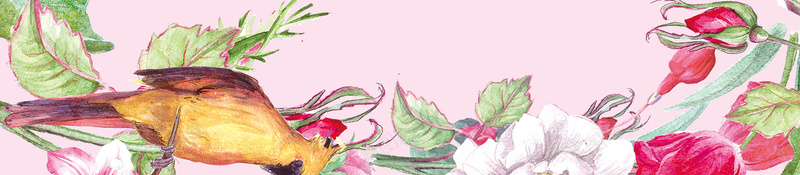 粉色手绘婚礼邀请函花卉边框背景jpg设计背景_新图网 https://ixintu.com 边框背景 手绘 粉色 花卉 花朵 婚礼邀请函 请柬 温馨 浪漫 三八节 妇女节
