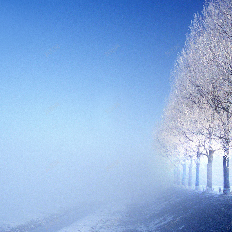 风景雪景树林天猫主图背景元素jpg设计背景_新图网 https://ixintu.com 风景 雪景 树林 天猫 主图 背景 元素